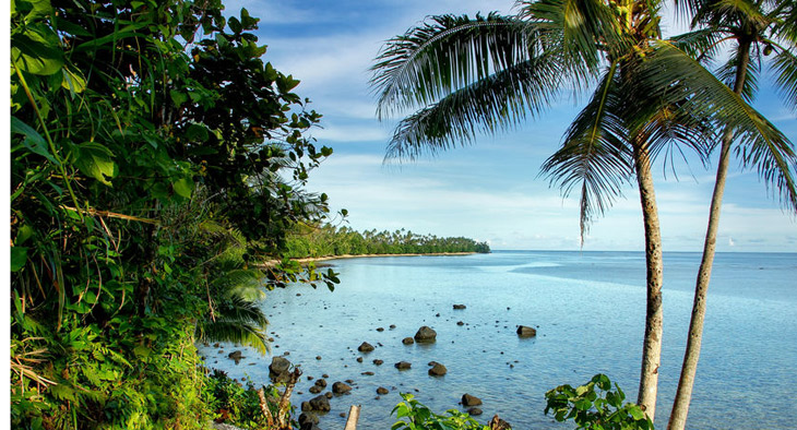 Foto de un paisaje de costa tropical. Se ve la selva, palmeras y el mar.